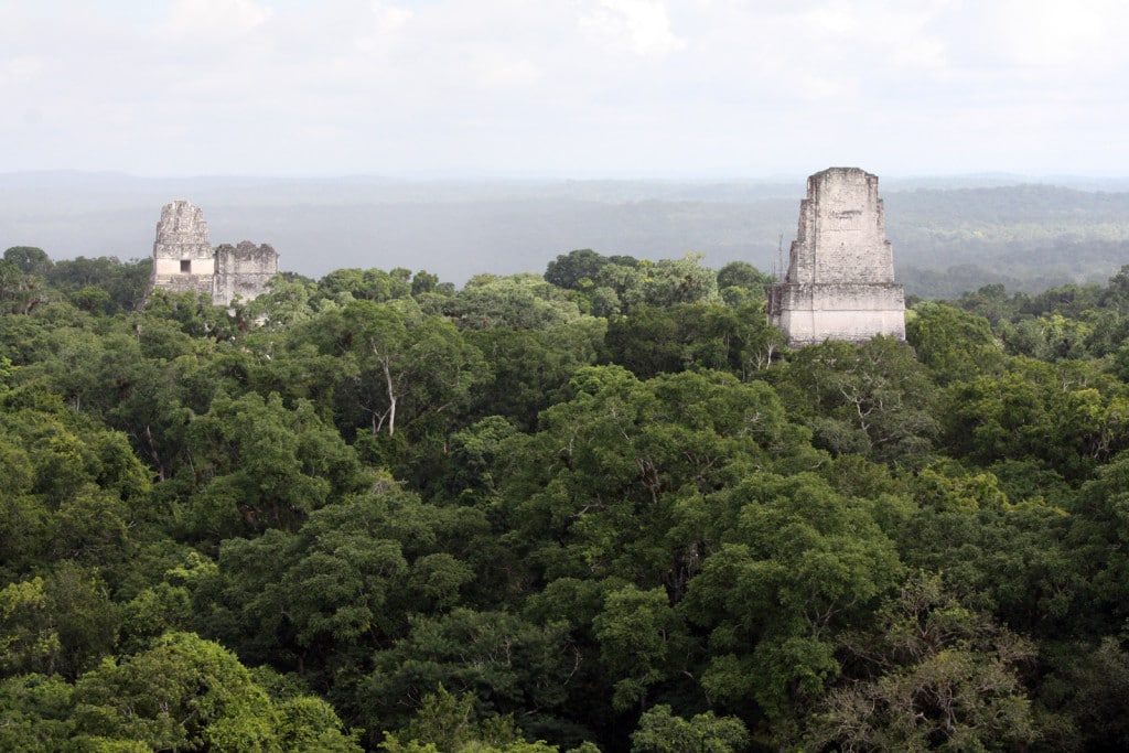 GUAjungleetPyramides